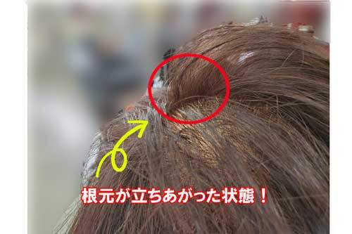 根元が立ちあがった髪