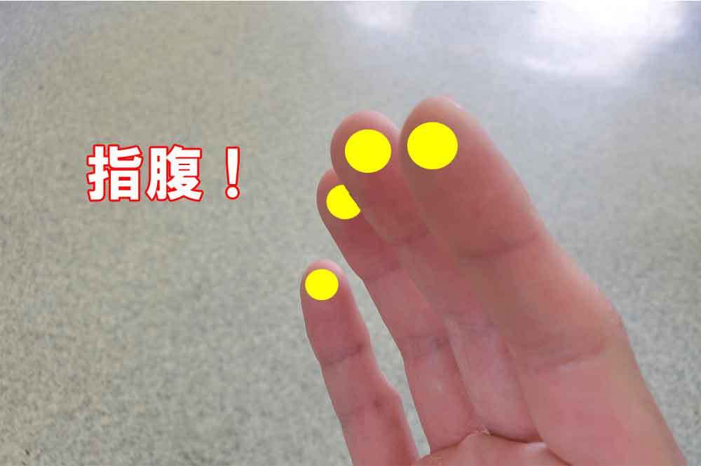 指腹
